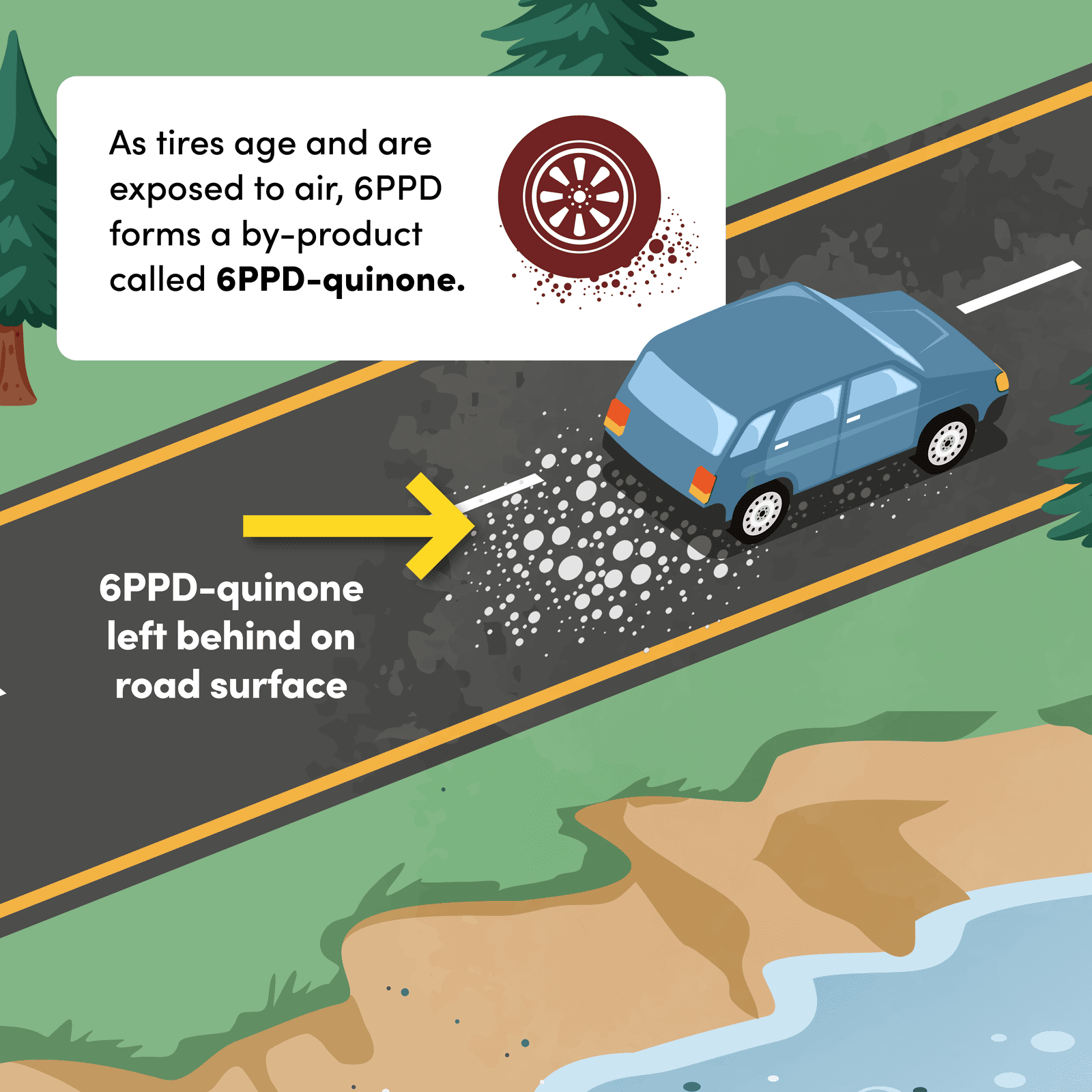 Panel 1: as tires age and are exposed to air, 6PPD forms a by-product called 6PPD-quinone that is left behind on the road surface.