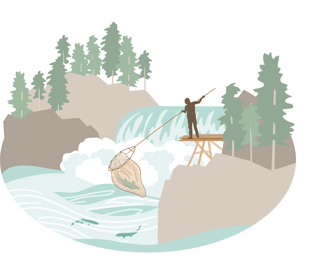 Illustration of dip net fishing: a fisher on a wooden platform beside a waterfall lowering a long-handled net into the whitewater below