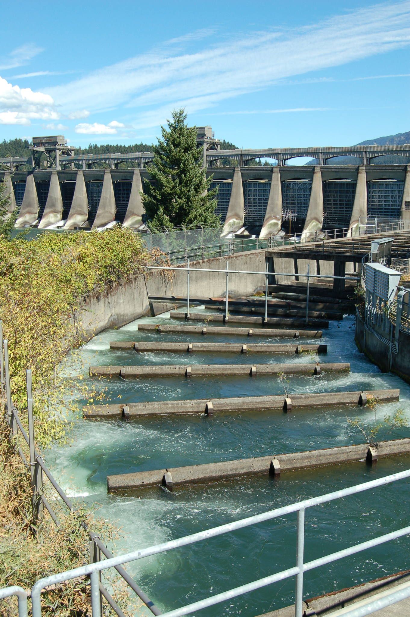 A stepped concrete fish ladder running alongside a large hydroelectric dam