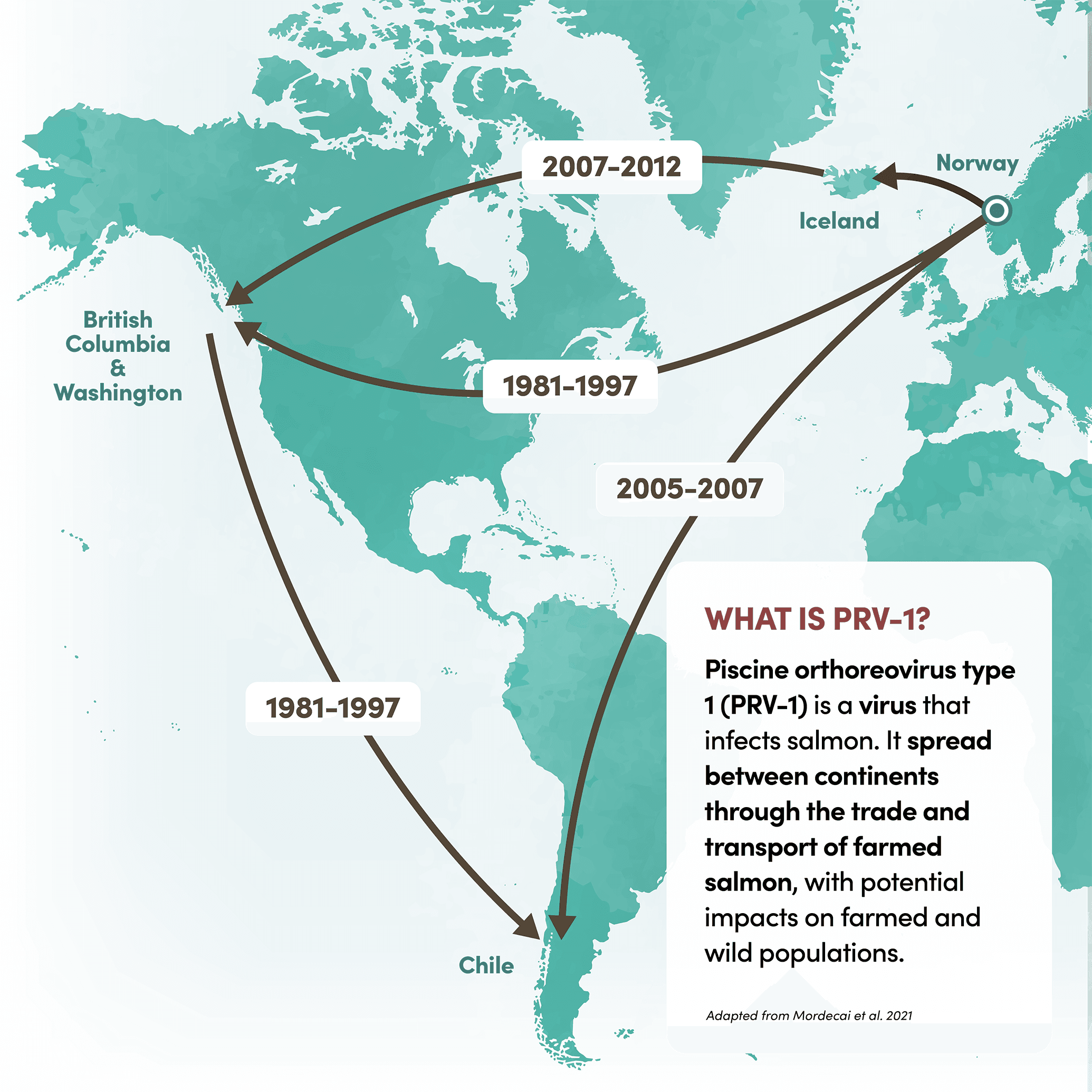 Stylized world map of the global emergence of PRV-1, with dated arrows tracing estimated transmission of the virus from Norway to Iceland, British Columbia and Washington, and Chile