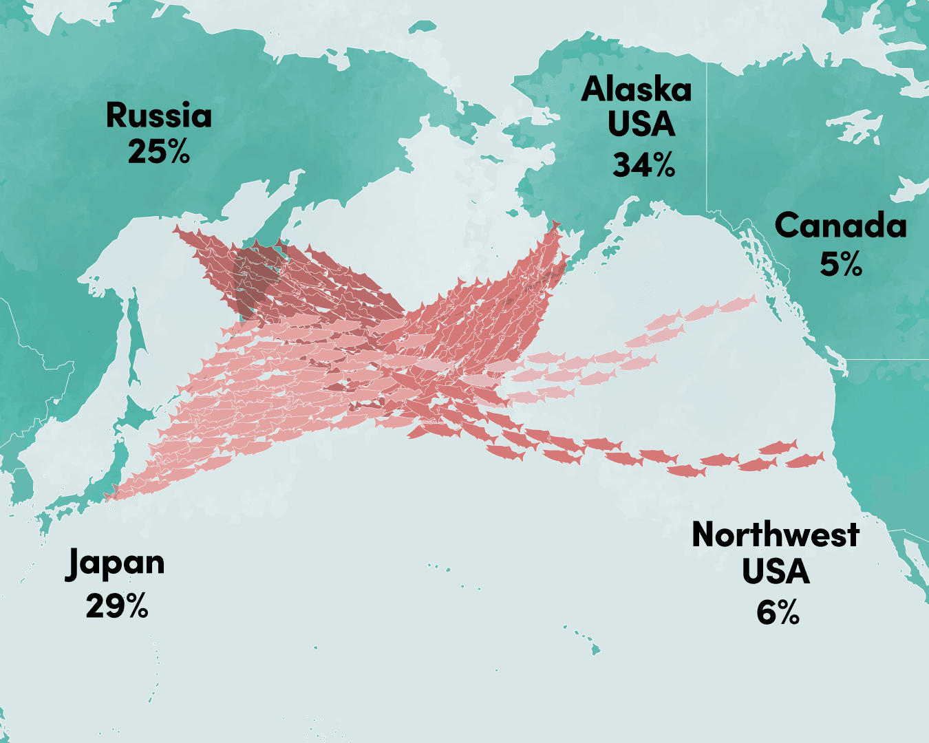 Map of the North Pacific showing each country’s share of total hatchery salmon releases over the past decade: Alaska USA 34%, Japan 29%, Russia 25%, Northwest USA 6%, Canada 5%