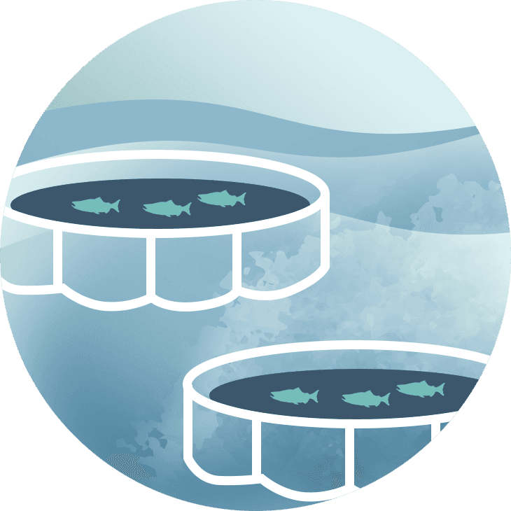 Aquaculture
