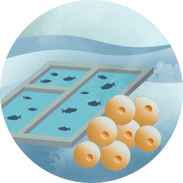 Hatcheries