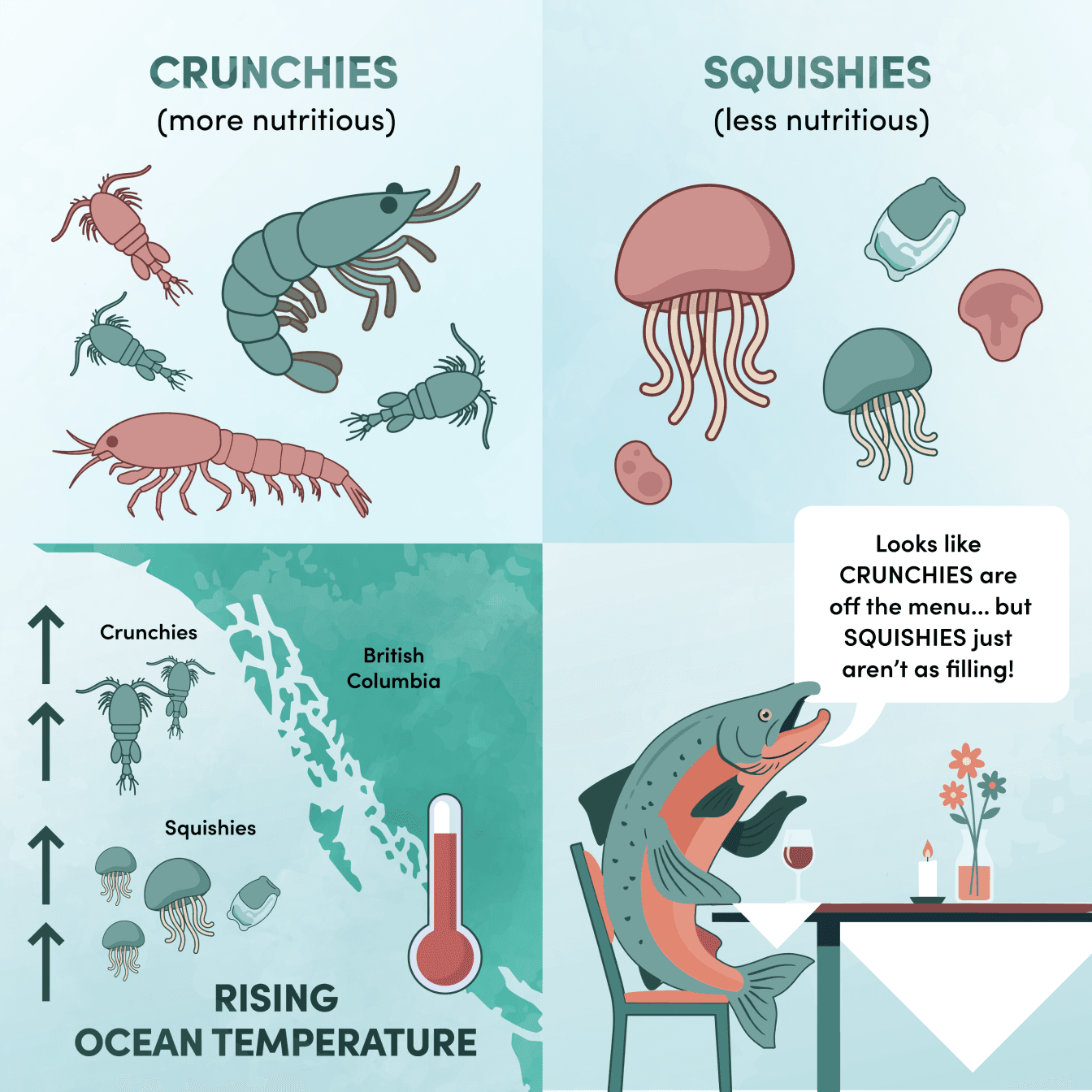 Cartoon comparing “crunchies” – nutritious, shrimp-like northern zooplankton – with less-nutritious gelatinous “squishies,” with a map of squishies shifting north as the ocean warms and a salmon joking that crunchies are off the menu