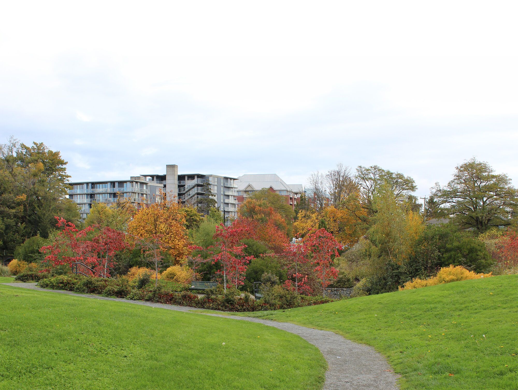 A park with rain-garden plantings, autumn trees, and apartment buildings above a green lawn – an example of urban green infrastructure