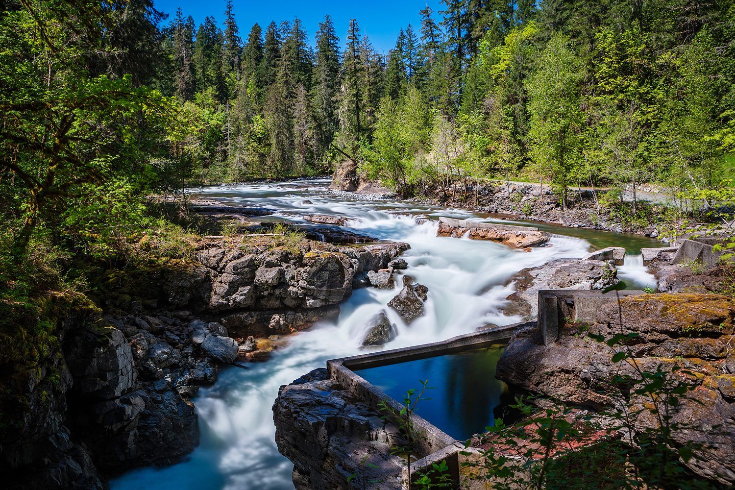 Skutz Falls, Cowichan River