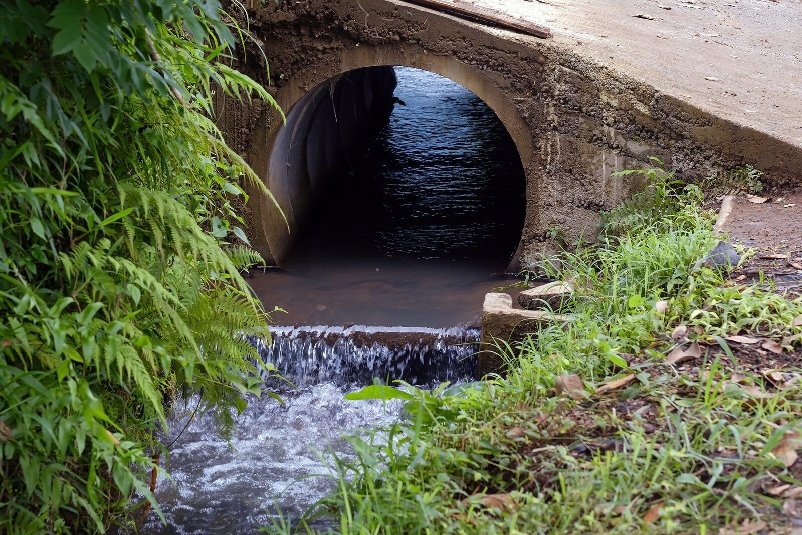 A fish-friendly culvert embedded into the streambed with water flowing through