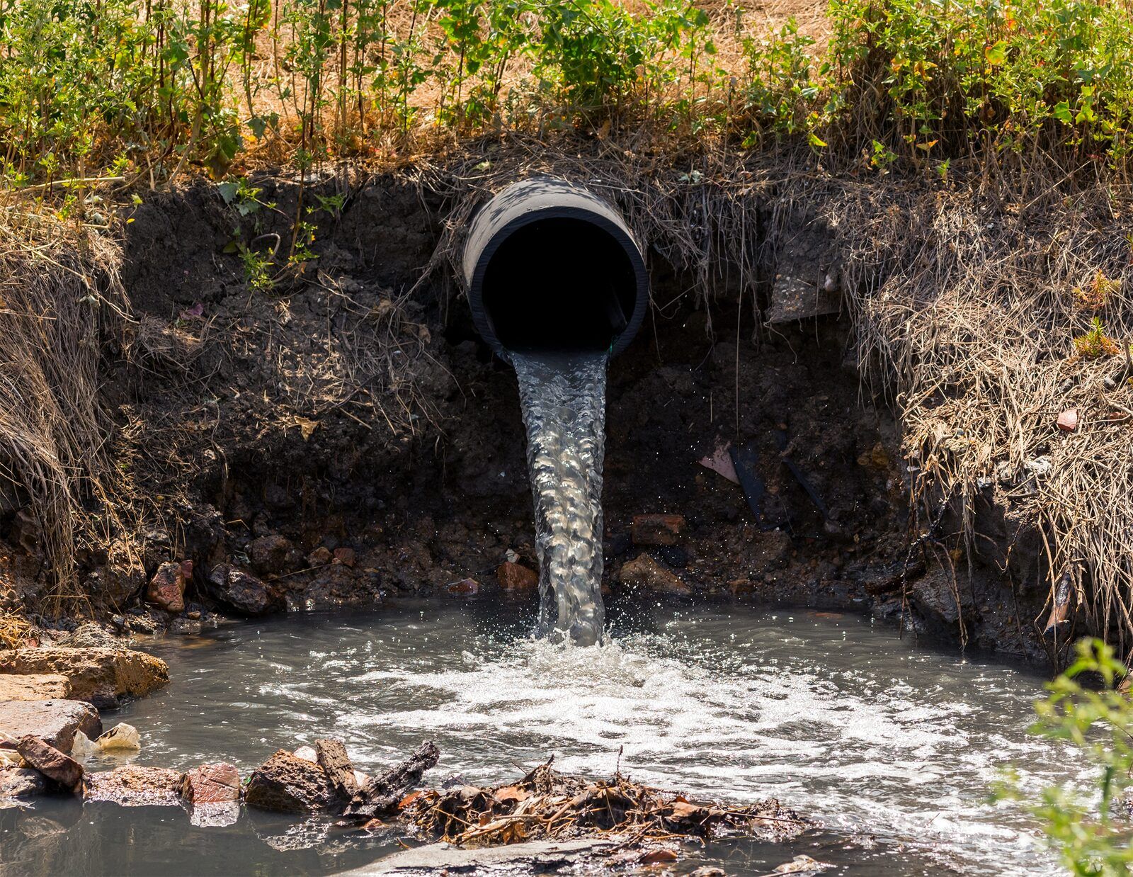A non-fish-friendly culvert, raised above and disconnected from the streambed