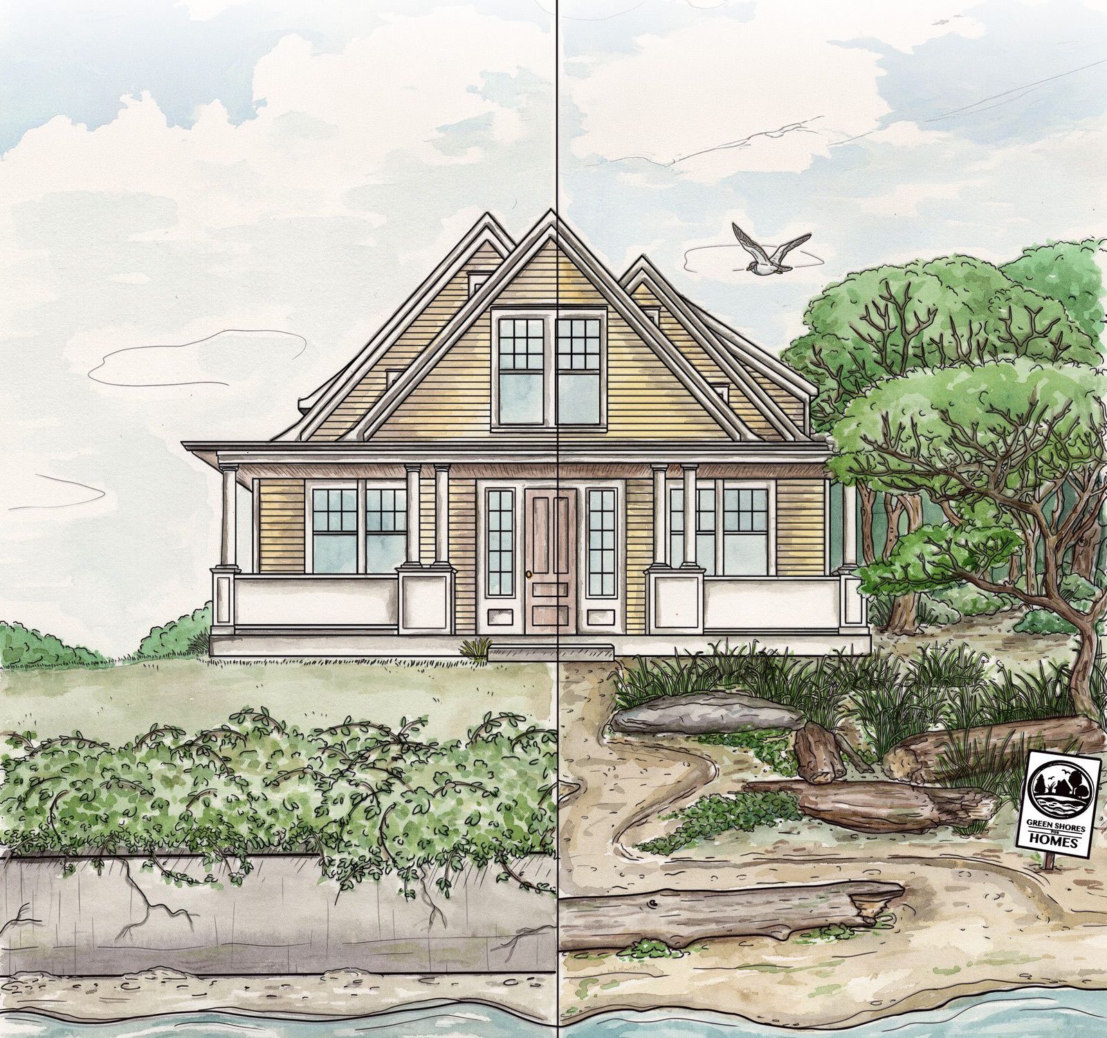 Shoreline transformation from armoured and bare (left) to lush and natural (right). Illustration of a home using nature-based solutions: rain gardens, a naturalized shoreline, trees and permeable ground that slow and filter runoff