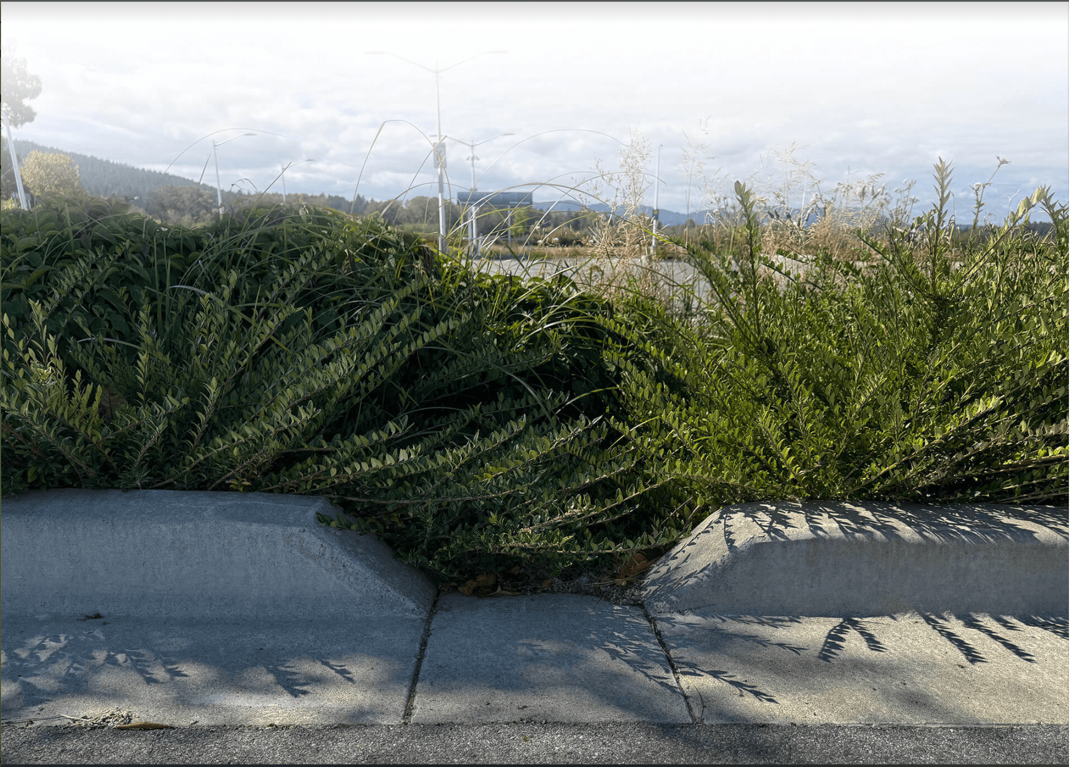 A rain garden between stone retaining walls, planted with shrubs and autumn trees – an example of urban green infrastructure