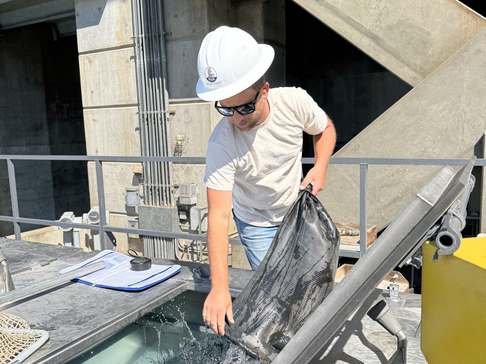 Sockeye salmon trapped and transported by truck to their Okanagan spawning grounds