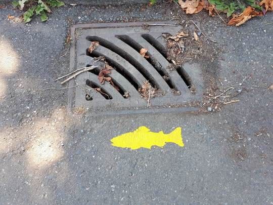 A storm drain marked with a painted yellow fish symbol