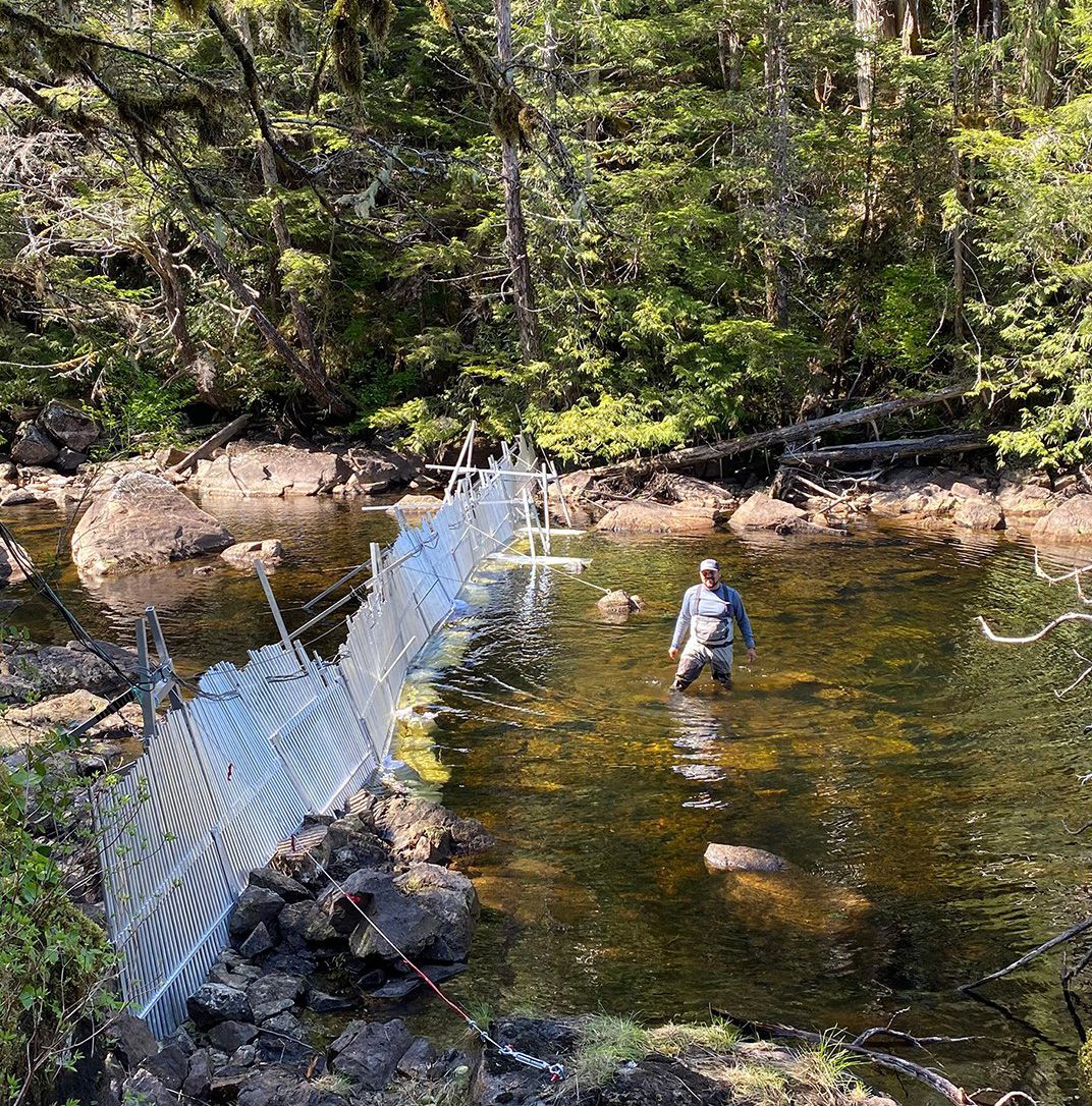 A fish weir on a river